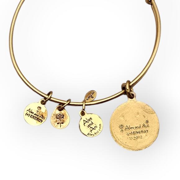 Alex and Ani Gold-Tone “WE” Charm Bangle Bracelet – 2012 - Picture 3 of 6